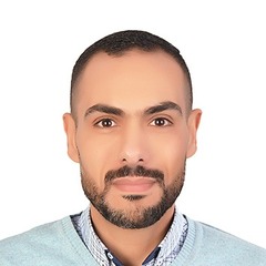 محمد جلال عبد الفتاح حسن, Business Analyst