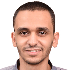Mohamed Anwar, Accountant
