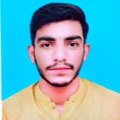 Muhammad  Haseeb 