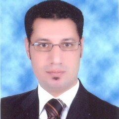 Ehab Wagih Mohamed