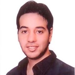 احمد مجدي محمد الغندور, Senior Electrical Engineer