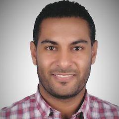 Bahaa Eldin  Ahmed, Team Leader Project Controls