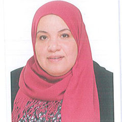 Naglaa Abdel Aal mohammad abass abass, Senior Structural Engineer