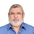 نجم الدين محمود أحمد الربعة الربعة, Audit Manager