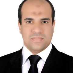 Ahmed Kortam, accounting manager