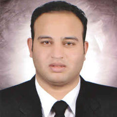 Hussein  El-Shafei Elsayed Soliman , Civil Structural Engineer