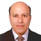 Babak Amiri, Business Development Manager