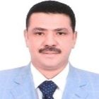 Ayman Abubakr, Census Manager