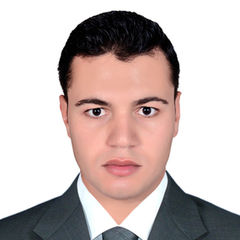 Ali Abd-Elrahman Khalaf Mahmoud, 