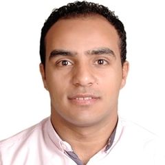 Mohamed Badawy, Software Engineer
