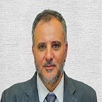 Samir Mahmoud Mohamed Elnaggar Elnaggar