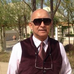 Mohamed El Bakatoshi, Construction Project Director