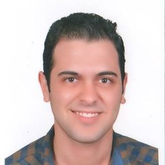 Ahmed Hassan, Senior Cost Control Engineer