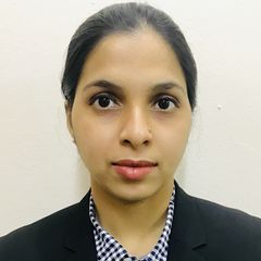Zorin Pathan, Web Developer