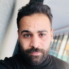 Mostafa Hamalawy