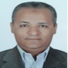 Salah Abdelmaksoud, Trade Finance Credit Manager - (Business Partner)