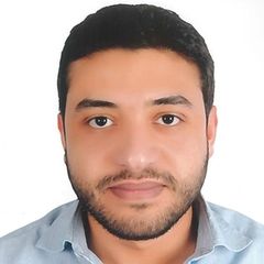 محمد Aboul-Majd, Architecture Design validation Team Leader