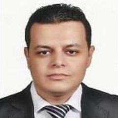 Karim Mohamed Hosny, Senior Network And Security Engineer