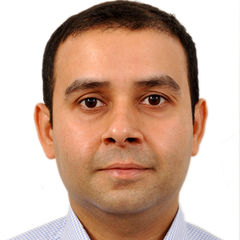pankaj bhandari, Financial Analyst