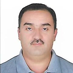 Mohamed Abbas-PMP, Consultant Project Manager
