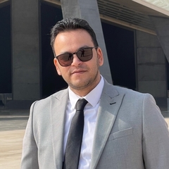Mahmoud Hamdy, Sales Executive