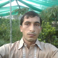 Waqas Hanif