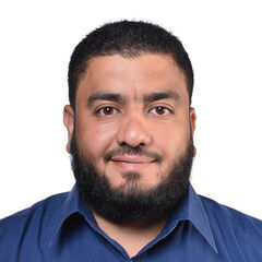 Ahmed Al gendy, Technical Team Leader