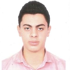 مصطفى عصام, Graduate research assistant