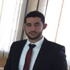 Walid Moussa, Structural civil engineer