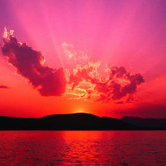 hussien kamal eldien hussien hassan