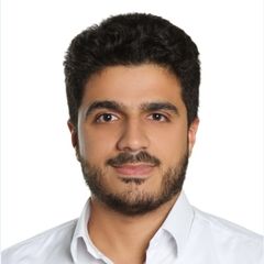 محمود حميد, BIM Manager