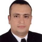 Tamer Abd El Bary, Vice President
