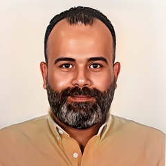 Mahmoud Fawzi, Category Manager