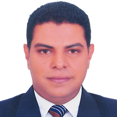 محمد مجدي ابراهيم حسن, Regional IT Manager 