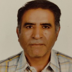 Mohammad Bagher Ghaemi
