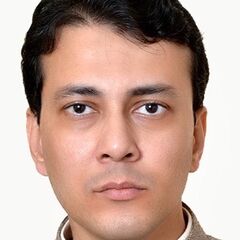 Faizan Rao, data science consultant