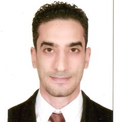 Mostafa Naser Saadeldin Elsrogy, Sales account advisor 