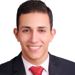 amr elhefnawy