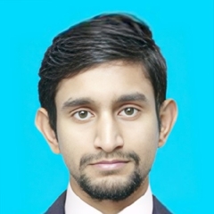 Hassan Mujtaba