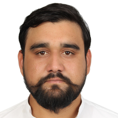 Syed Atta Ur Rahman  Gardazi