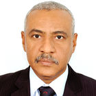Ali Elsheikh, Business Unit Manager