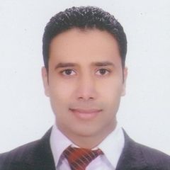 Islam Saeed gouda, Presales Engineer