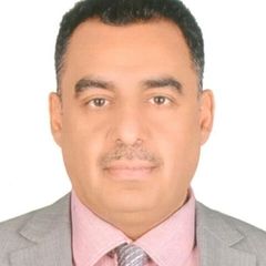 Ali Ibrahim, Lead Instrument Control Engineer