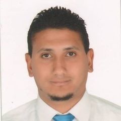 محمود عماد,   Maintenance Engineer (Workshop Manager).