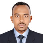 ammar Mohamed ali, senior management consultant