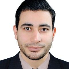 محمد زغلول هديهد, Co- management & audit