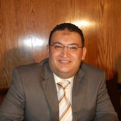Ramy El Hennawy, Financial Analyst