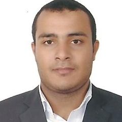 حسن محمود محمد محمد, Senior Accountant