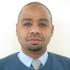 Amr Abdelwhab Mohammed, IT Officer