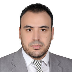 إسلام قناوي, Budget and reporting consultant 